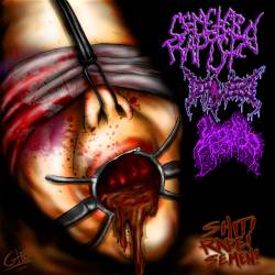 Deflowered : Shit ! Rape ! Semen !